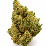 AMNÉSIA JSH US 25 % CBD