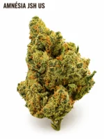 AMNÉSIA JSH US 25 % CBD