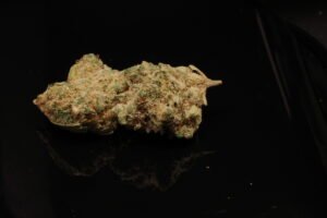 Apple FineWoven Case – Image 2