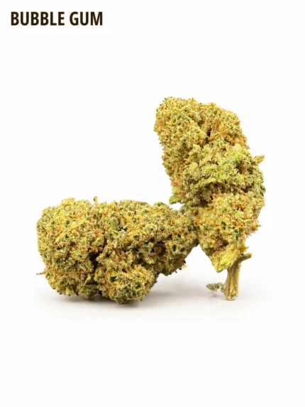 Bubble Gum CBD
