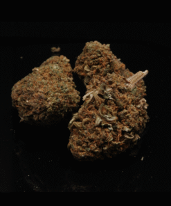 Bubble Gum CBD