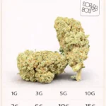 Bubblegum CBD small bud avec prix 1g 3g 5g 10g sur LA KALI CBD
