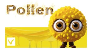 Apple iPad Air Wi-Fi – Image 3