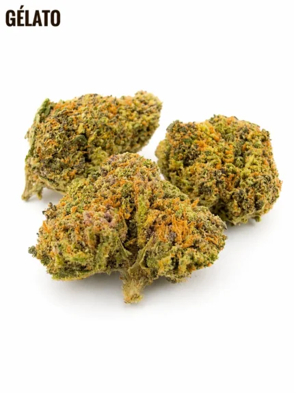 GÉLATO CBD