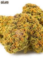 GÉLATO CBD – Image 2