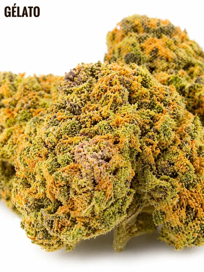 GÉLATO CBD – Image 2