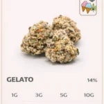gelato cbd small bud fleur cbd petit calibre 14 pourcent