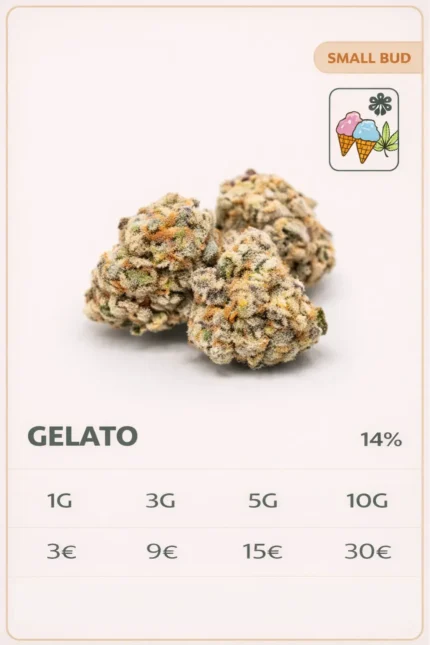 gelato cbd small bud fleur cbd petit calibre 14 pourcent