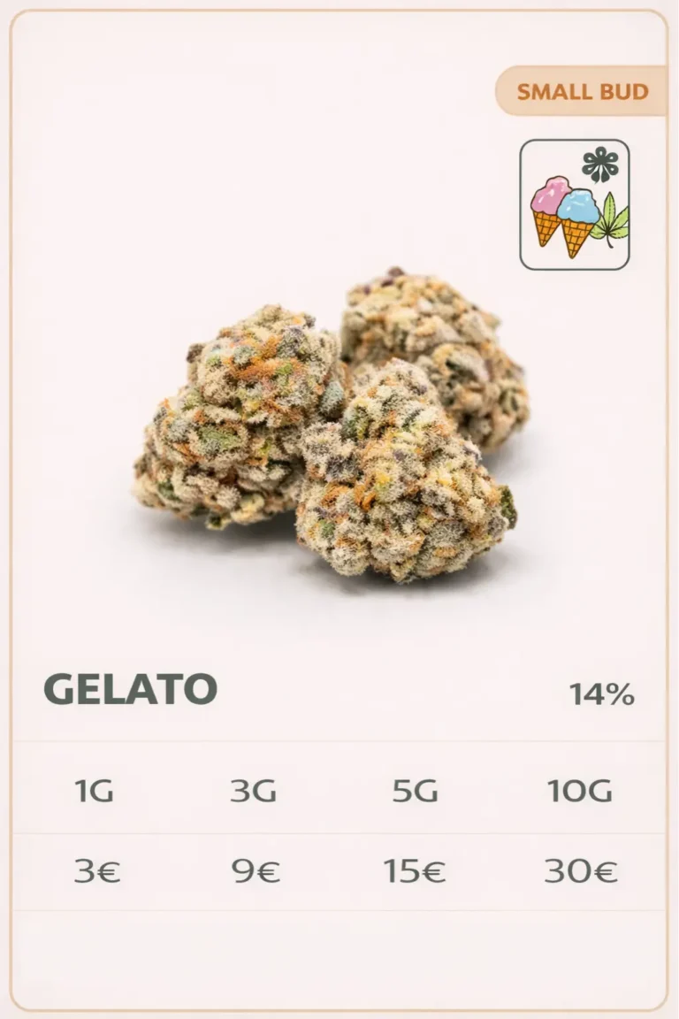 gelato cbd small bud fleur cbd petit calibre 14 pourcent