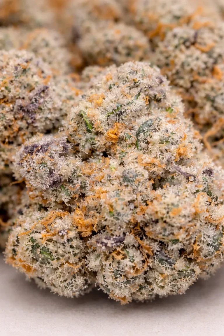 gelato cbd small bud detail trichomes resine fleur cbd