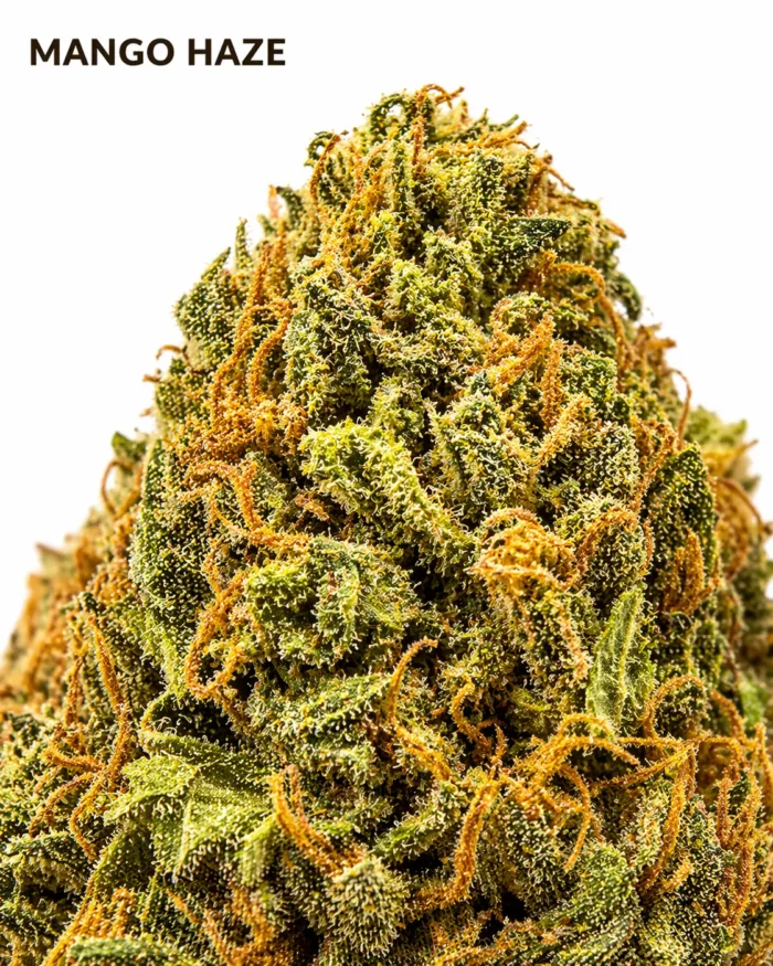 Mango Haze 17% CBD – Image 2