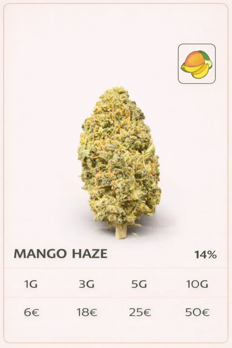 mango haze cbd macro trichomes détail fleur cbd résine gros plan