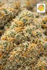 Mango Haze 17% CBD – Image 2