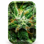 PLATEAU CANNABIS PISTILS