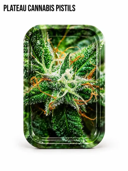 PLATEAU CANNABIS PISTILS