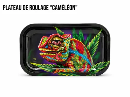 PLATEAU DE ROULAGE "CAMÉLÉON"