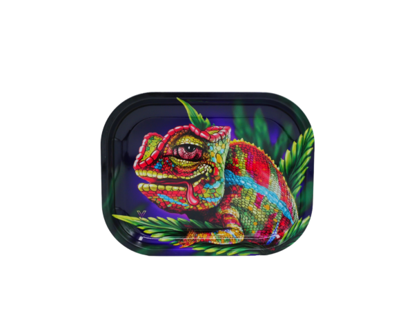 Plateau Caméléon – Image 2