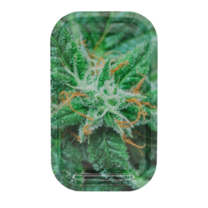 Plateau Weed