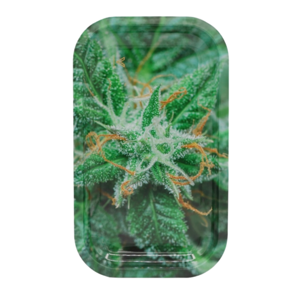 Plateau Weed