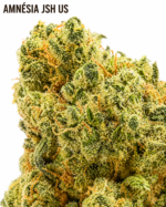 AMNÉSIA JSH US 25 % CBD – Image 2