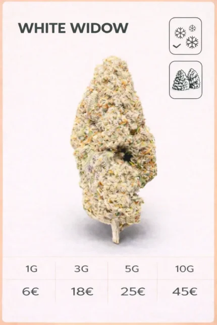 White-Widow 18% CBD