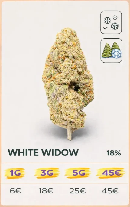 White-Widow 14% CBD