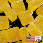 SanDisk MAX ENDURANCE – Image 2