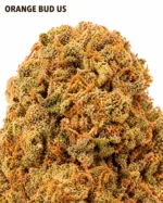 ORANGE BUD 12% CBD – Image 2