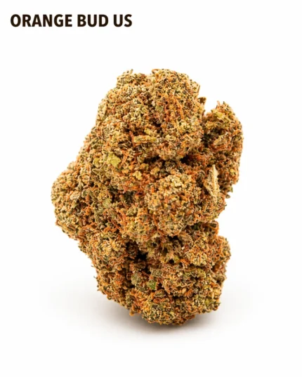 ORANGE BUD 12% CBD