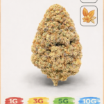 Orange bud 12% CBD (small bud)