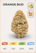 Orange bud 12% CBD (small bud)