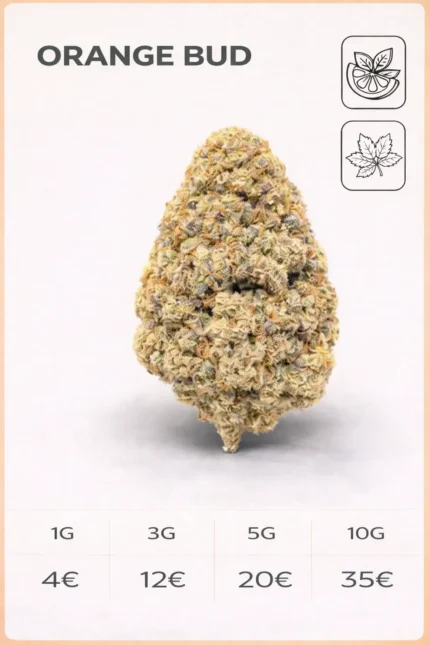 Orange bud 12% CBD
