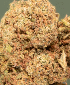 Fleur CBD Orange Bud en small buds, goût gâteau mandarine, culture indoor — LA KALI CBD Marseille.