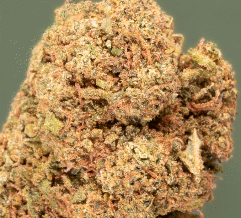 Fleur CBD Orange Bud en small buds, goût gâteau mandarine, culture indoor — LA KALI CBD Marseille.