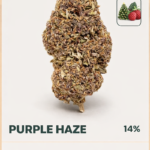 Purple Haze 13%CBD (green-house)