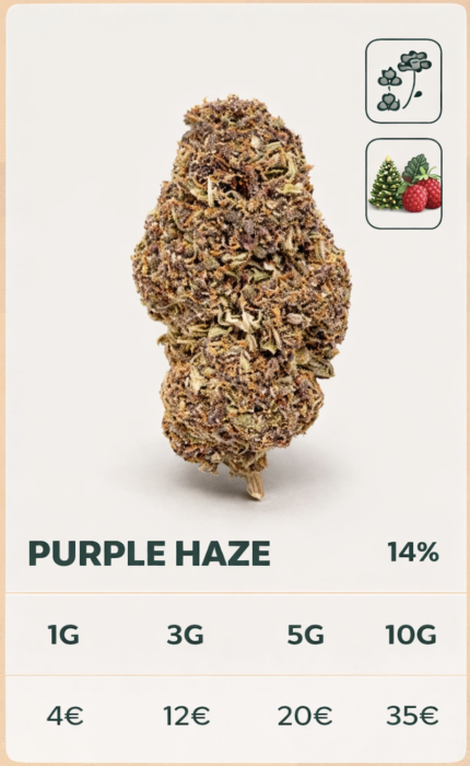 Purple Haze 13%CBD (green-house)