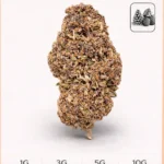 Purple Haze 13%CBD (green-house)