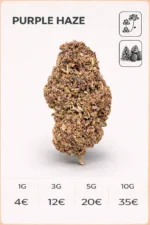 Purple Haze 13%CBD (green-house)