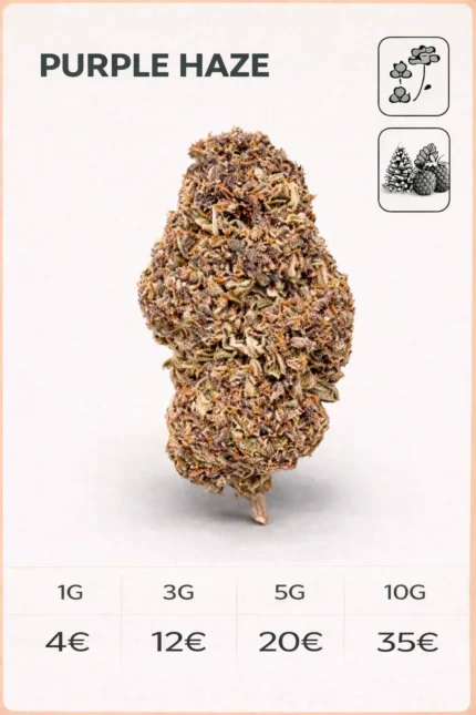 Purple Haze 13%CBD (green-house)