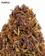PURPLE HAZE 13%CBD (green) – Image 2