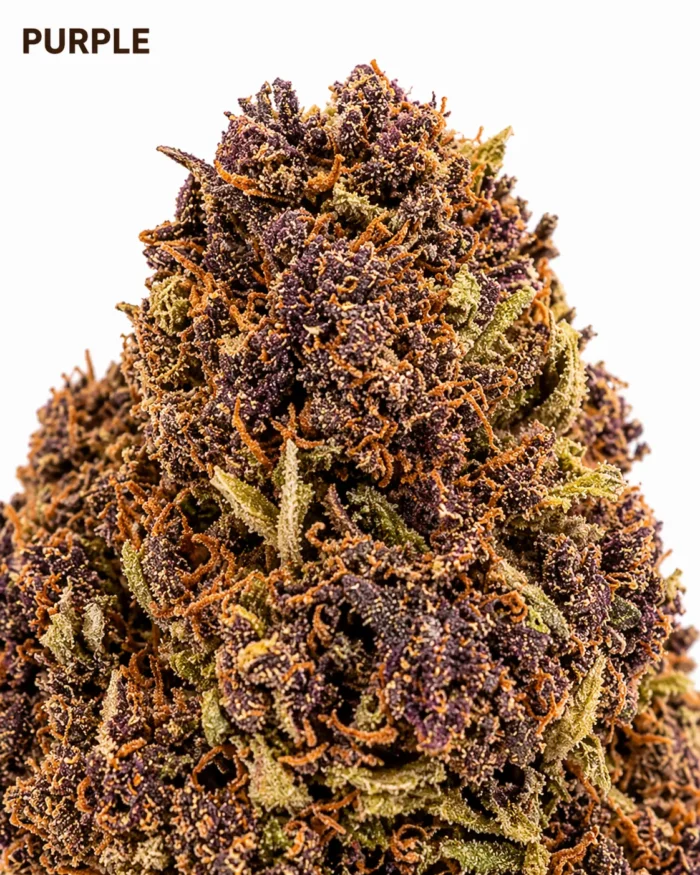 PURPLE HAZE 13%CBD (green) – Image 2