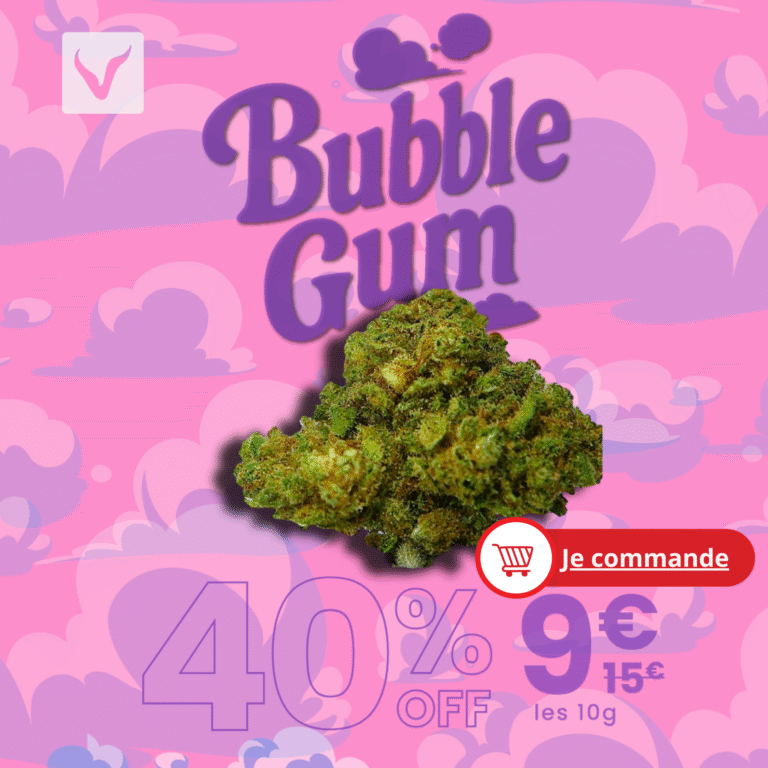 Pormo BUbble gum 9€:10G
