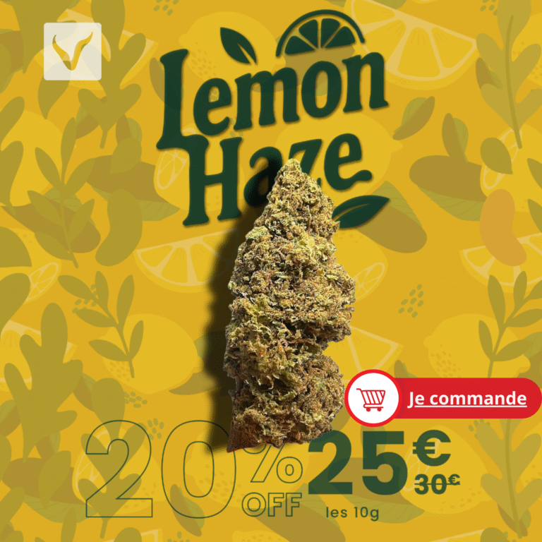 Promo Lemon haze 10G