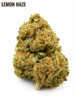 Lemon HAZE 9% CBD