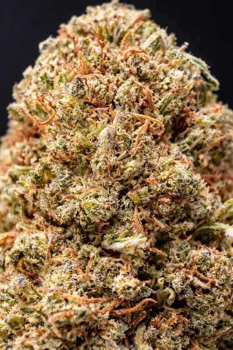Macro fleur CBD Lemon Haze trichomes détail qualité premium