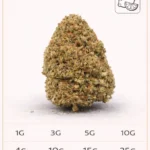 Fleur CBD Lemon Haze 9% gros plan qualité premium LA KALI CBD