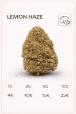 Fleur CBD Lemon Haze 9% gros plan qualité premium LA KALI CBD