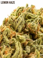 Lemon HAZE 9% CBD – Image 2
