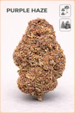 Purple Haze 13%CBD (green-house) – Image 2
