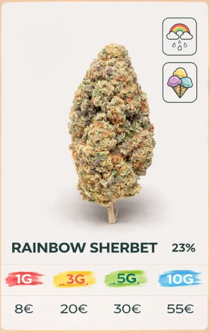RAIMBOW SHERBET 23% CBD